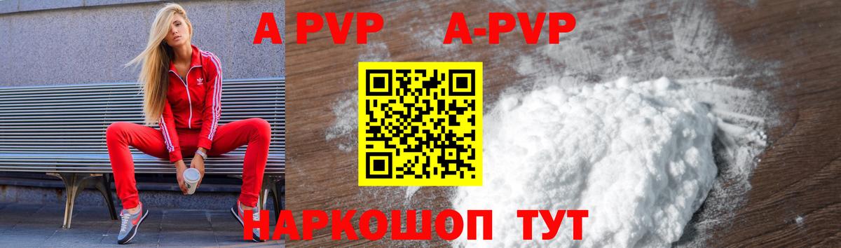 A PVP СК Бийск