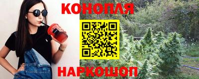 шишки Славянск-на-Кубани