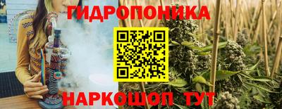 шишки Славянск-на-Кубани