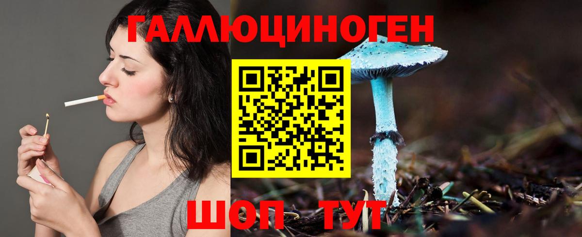 Псилоцибиновые грибы Psilocybe  Вход с VPN  магазин  наркотиков  Галлюциногенные грибы Psilocybine cubensis  Бийск 